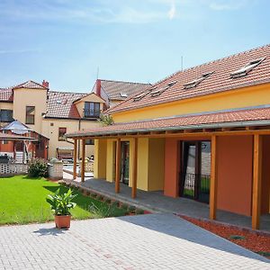 Pension Cizek Apartment Mikulov Exterior photo