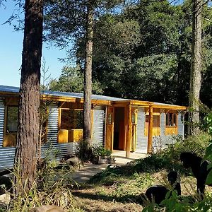 Evergreen Cabin Karkloof Villa Karkloof Nature Reserve Exterior photo