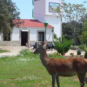 San Jose Guest House Andujar Exterior photo