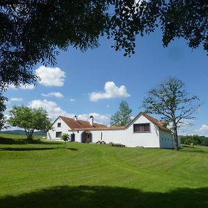 Brusna Farmhouse Guest House Lhenice Exterior photo