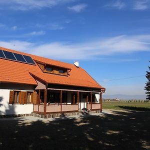 Ezuestfenyo Agroturisztikai Panzio Hotel Borzont Exterior photo