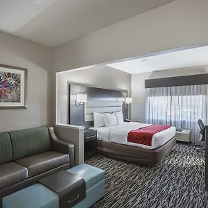 Comfort Suites Lewisville Room photo