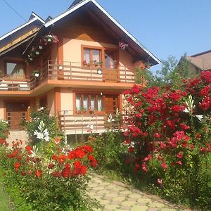 Nopti De Vara Transfagarasan Hotel Capatineni-Paminteni Exterior photo