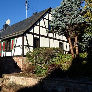 Vakantiehuis Hunsrueck Villa Leisel Exterior photo