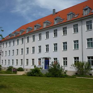 Hanse Haus Pension Hotel Greifswald Exterior photo