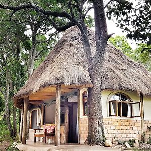 House In The Wild Guest House Maasai Mara Exterior photo