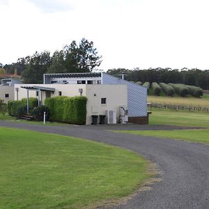 Adina Vineyard Aparthotel Lovedale Exterior photo