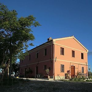 Quindici Alberi Apartment Serra de' Conti Exterior photo