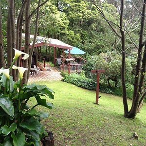 Stone'S Throw Cottage Bed And Breakfast Belgrave Exterior photo