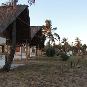 Duna Lodge Jangamo Exterior photo