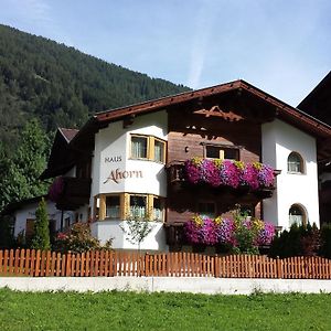 Ferienhaus Ahorn Apartment Neustift im Stubaital Exterior photo