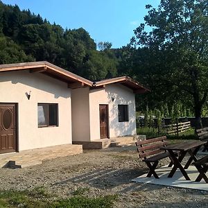 Casutele Andreica Villa Viseu de Sus Exterior photo