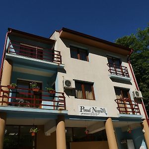 Pensiunea Pinul Negru Hotel Baile Herculane Exterior photo