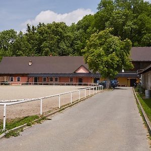 Penzion Hradisko Villa Roznov pod Radhostem Exterior photo