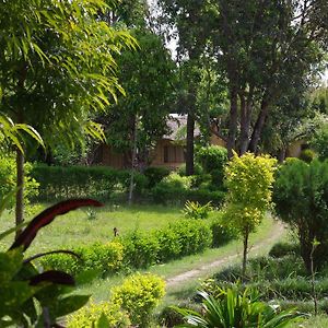 Jungle Base Camp Hotel Bardiya Exterior photo