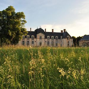 Chateau La Touanne Loire Valley Bed & Breakfast Baccon Exterior photo