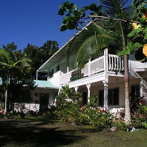 Lava Tree Tropic Inn Pahoa Exterior photo