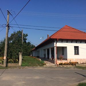 Bajusz Vendeghaz Hotel Tornyosnemeti Exterior photo