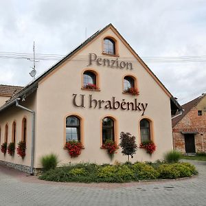 Penzion U Hrabenky Hotel Petrovice  Exterior photo