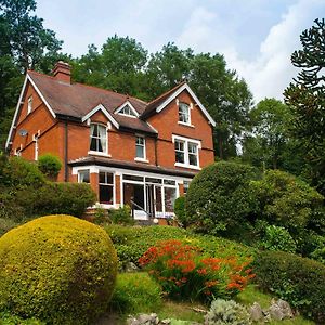 Mynd House Bed & Breakfast Church Stretton Exterior photo