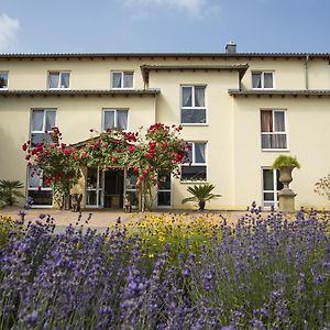 Mediterran Hotel Juwel Karlstein am Main Exterior photo