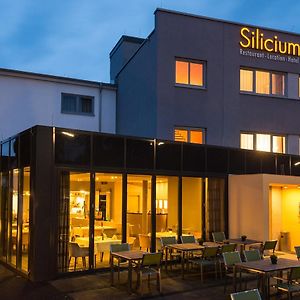 Hotel Silicium Hoehr-Grenzhausen Exterior photo