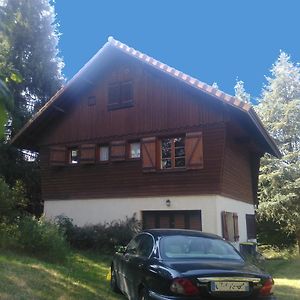 Chalet Les Sequoias Bed & Breakfast Saint-Remy-sur-Durolle Exterior photo