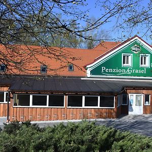 Penzion Grasel Hotel Nove Syrovice Exterior photo