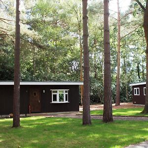 California Holiday Park - Cosy Woodland Set Holiday Homes Close To Windsor Castle Wokingham Exterior photo