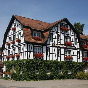 Gasthof Sommer Hotel Lautertal  Exterior photo