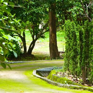 Golden Teak Homestay Mae Rim Exterior photo