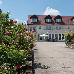 Felshof - Weingut & Gaestehaus Hotel Sommerhausen Exterior photo