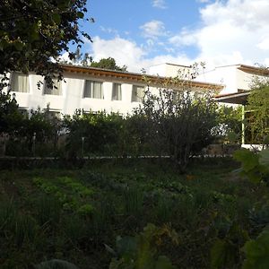 Hotel El Abuelo Carhuaz Exterior photo