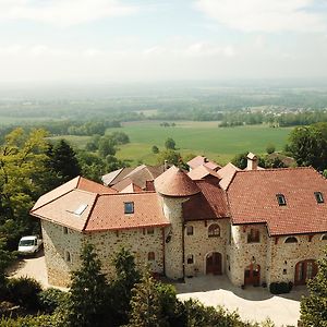 Les Lumieres De Geneve Bed & Breakfast Grilly Exterior photo