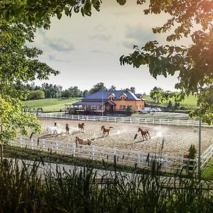 Hotel Horse Riding - Jezdecky Areal Trsice Exterior photo