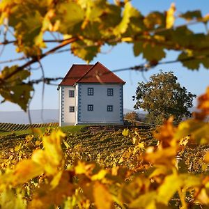 Wine Grower'S Mansion Zlati Gric Apartment Slovenske Konjice Exterior photo