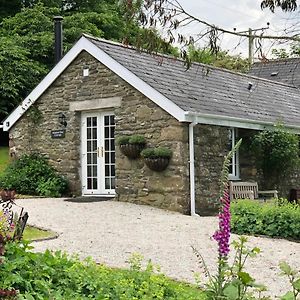 Almond Tree Cottage Lanteglos  Exterior photo