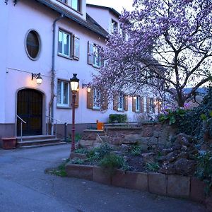 Logis Hotel Du Centre - Halte Ideale En Cyclotourisme Avec Garage A Velos Clos Molsheim Exterior photo