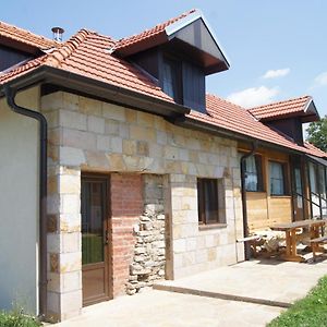 Guest House Glogovac Kamenica  Exterior photo