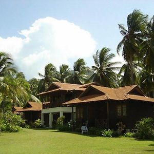 D'Coconut Island Resort Besar Island  Exterior photo