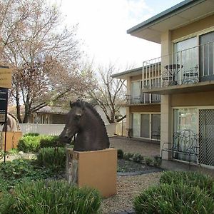 Angaston Mews Apartments Exterior photo