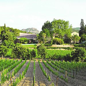 Chateau Haut Gleon Hotel Villeseque-des-Corbieres Exterior photo