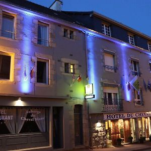 Auberge Du Cheval Blanc Hotel Baud Exterior photo