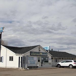 Bluebird Motel Innisfail Exterior photo