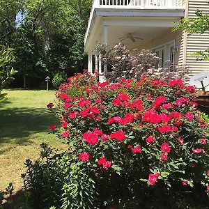 The Baywood Bed & Breakfast Bed & Breakfast Cape Charles Exterior photo