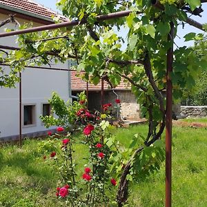 Guest House Art Eco Land Ganchovets Exterior photo