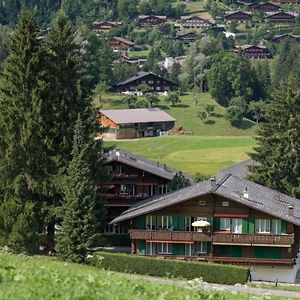 Apartment Les Silenes By Interhome Gstaad Exterior photo