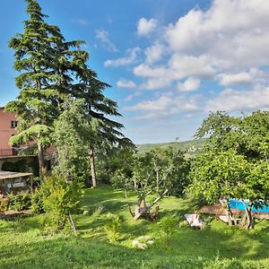 Bacialupo Foresteria Bed & Breakfast Montecalvo Versiggia Exterior photo