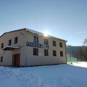 Penzion Adela Hotel Roznov pod Radhostem Exterior photo