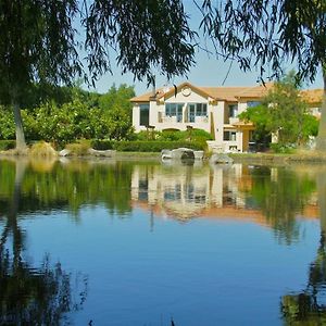 Tuscany Downs Estate Bed & Breakfast Darfield Exterior photo